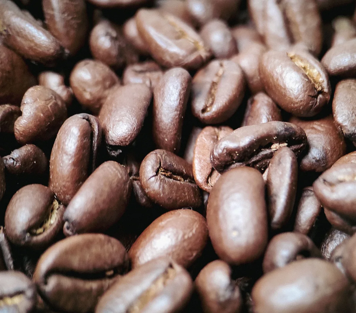 Roasted in the back of the shop.